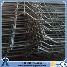 Made in China hot sale Hot dip wire mesh fence / 3d wire fence / welded wire mesh fence